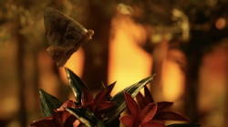 Still from 'Night Vision'