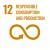 SDG 12 logo