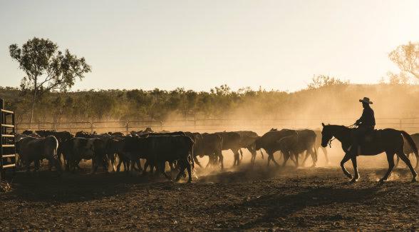 chinese-farm-ownership-up-1000-percent