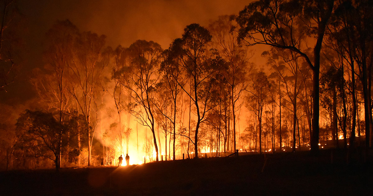 Planning for Bushfire Prone Areas University of
