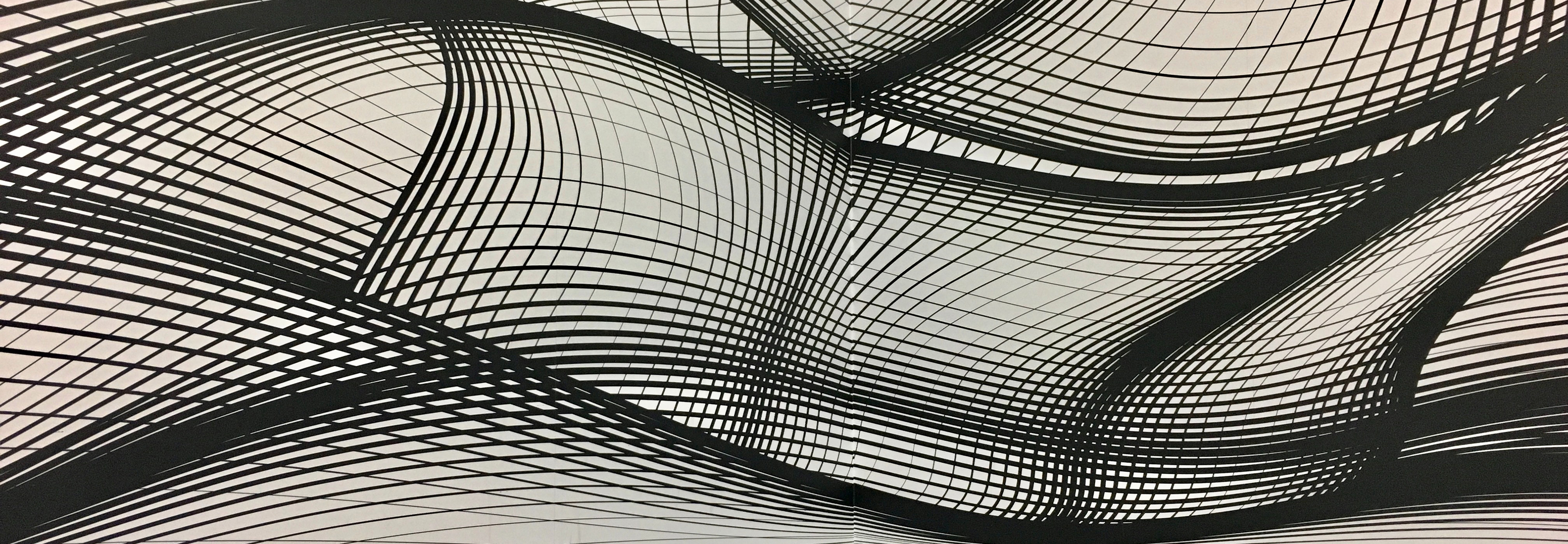 Black and white wave mesh image
