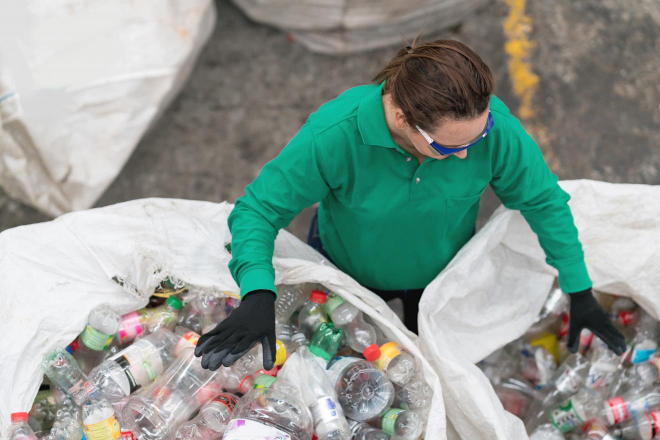 Person sorting bins of plastic bottles