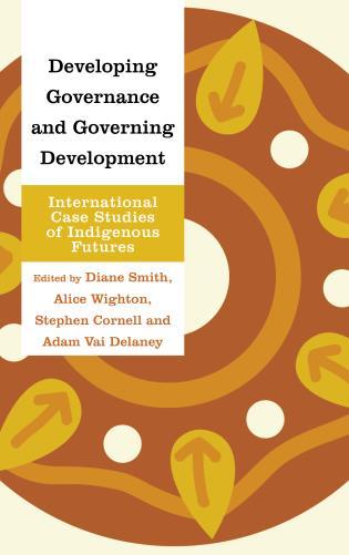 Image of book Developing Governance