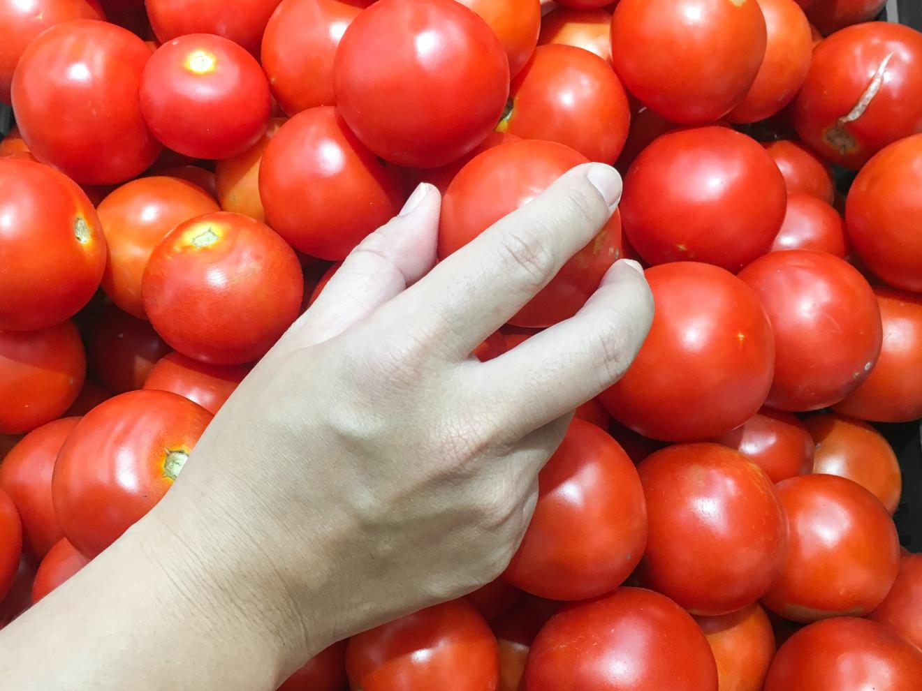An aerial close-up of a hand choosing a red tomato from a box of many