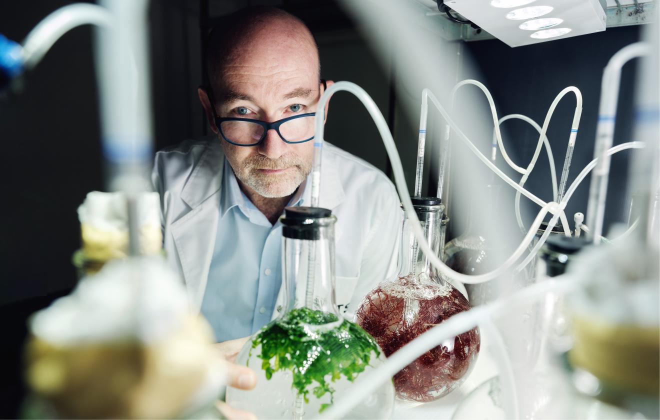 Professor Peter Ralph in a lab coat in a lab looking at the camera. In the foreground there are beakers containing seaweed