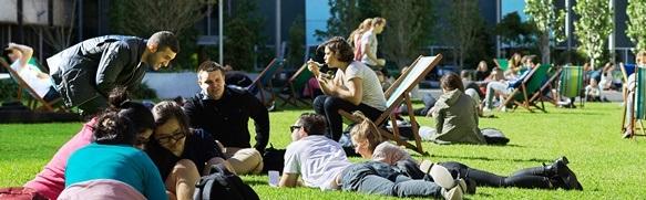 students lounging in deck chairs on Alumni Green on a sunny day