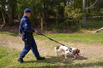 A police officer training a scent-detection dog in the oustkirts of Sydney