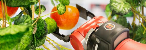 A robot arm picking an apple
