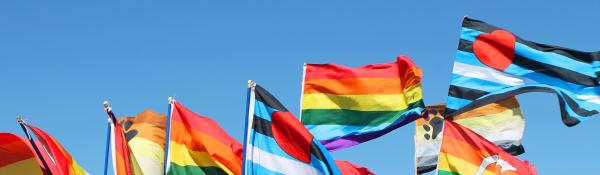 Colourful flags of diversity