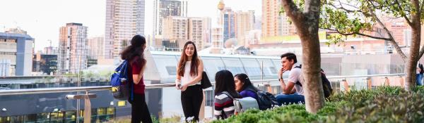 A group of international students talking on a rooftop garden overlooking Sydney City