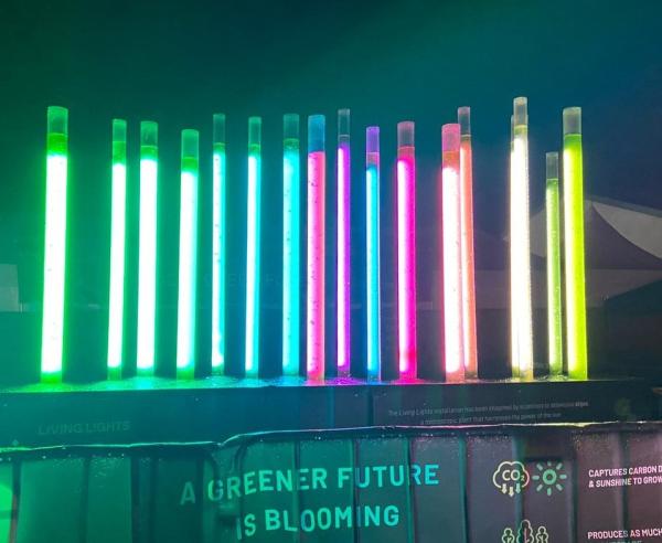 Algae installation with glowing tubes 