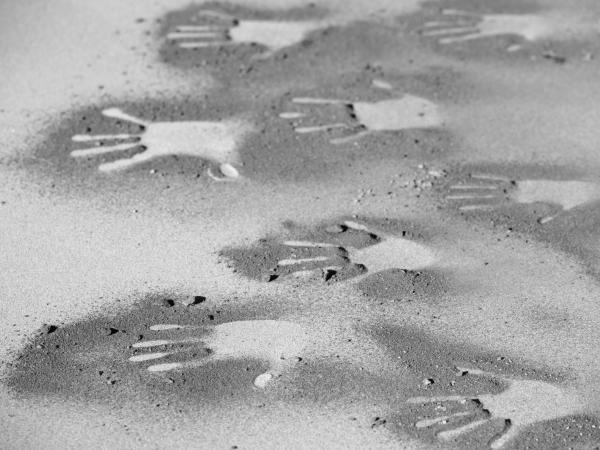 Hand prints in the sand.