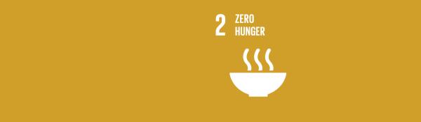 SDG banner zero hunger 