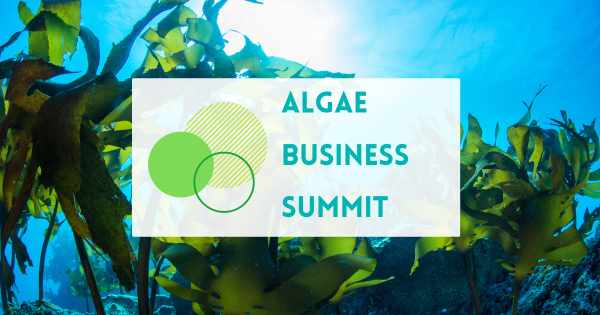 Algae Business summit next to three green circles overlapping, with macroalgae in the background. 