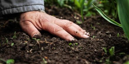 Hand touching soil