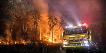 Fire truck and bushland alight at night