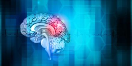 Illustration of human brain on blue background