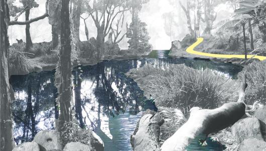 Collage of a creek and walking track