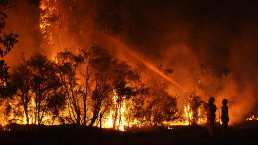Firefighters respond to a bushfire in Cessnock