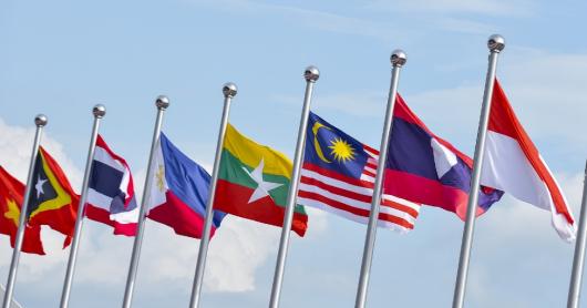 Flags of the Indo-Pacific countries are raised alongside one another against a pale blue sky.