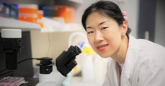 Dr Jiao Jiao Li stands at her microscope in her lab at UTS