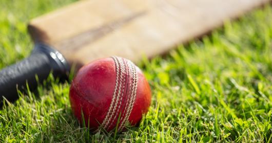 a red cricket ball lies on the grass next to a cricket bat