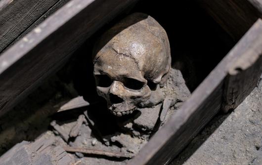 Stock picture of a human skull visible where the floorboards of a building have been removed