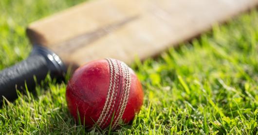 Cricket ball and cricket bat on green grass of cricket pitch