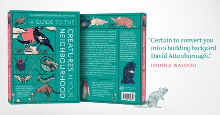 Cover to the Guide to the Creatures in Your Neighbourhood. Quote from Indira Naidoo "Certain to covert you into a budding backyard David Attenborough"