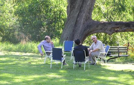 People relaxing in the shade of a tree