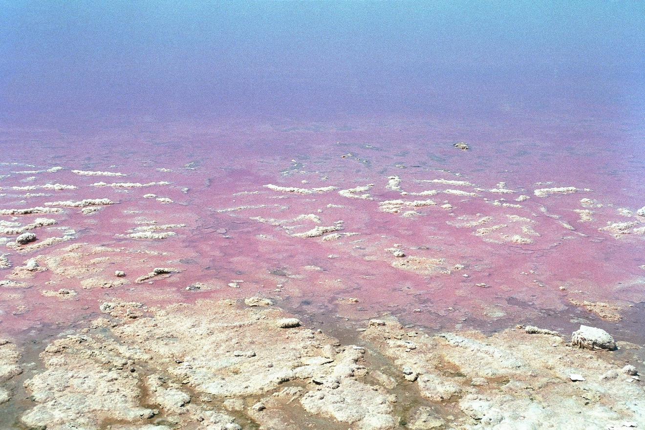 Textural photograph of waters edge, with colour gradient from pink to blue