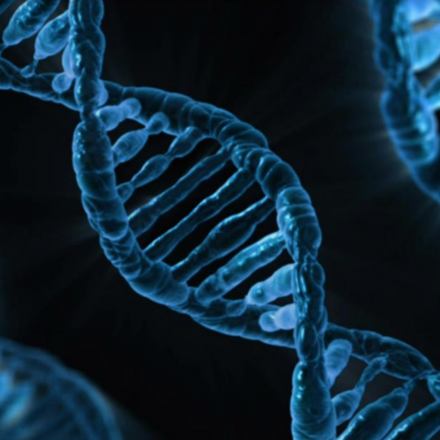 DNA via Pixabay