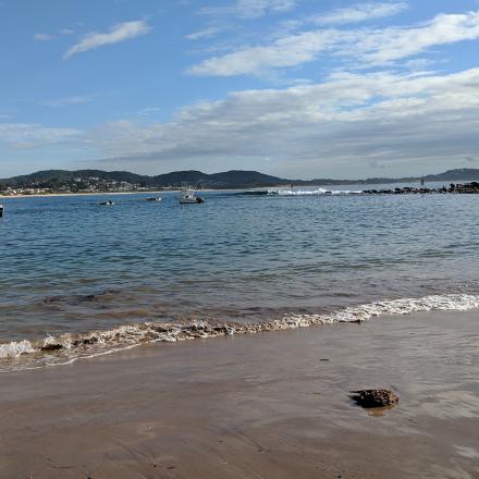 Terrigal Haven on a dry weather sampling day