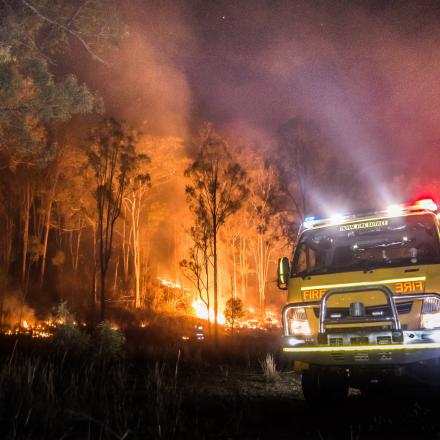 Fire truck and bushland alight at night