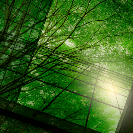 A view from a courtyard looking up into a canopy of trees with all the windows reflecting the light and green leaves. 
