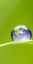 Digital image of the Earth in a drop of water on a leaf