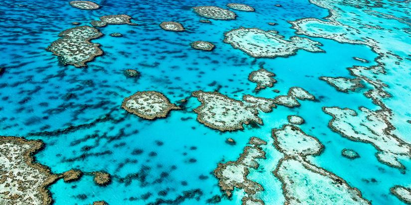 coral reef aerial view