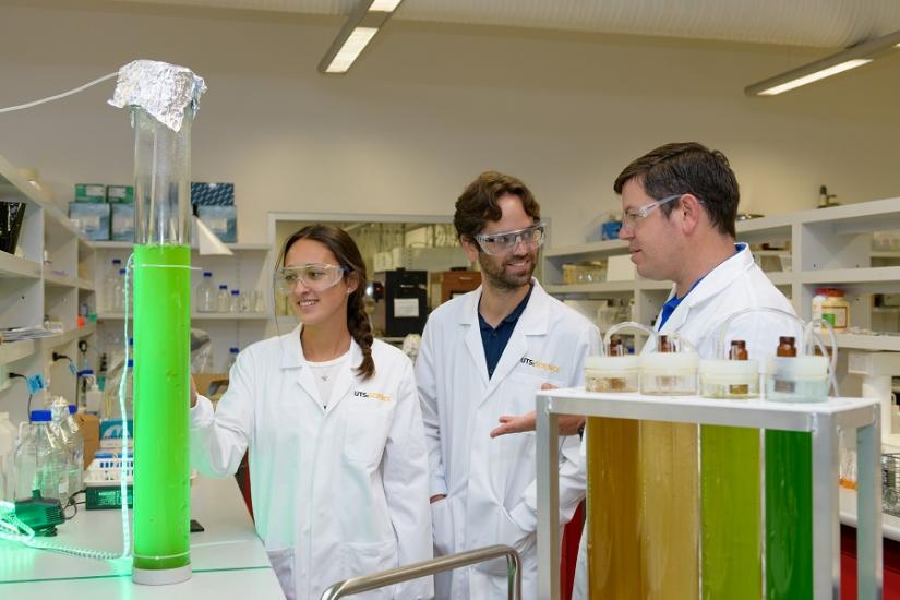Photo of three researchers working with large test tubes of algae in the lab