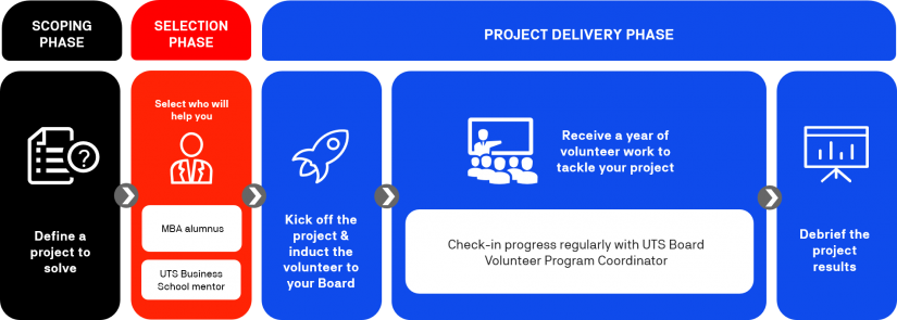 Board Volunteer Development Program Structure