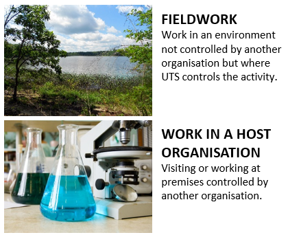 Fieldwork and Work in a Host Organisation are off-campus activiites