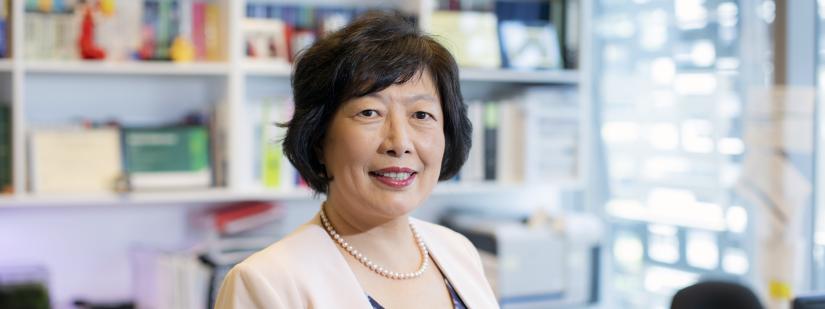 Professor Jie Lu