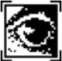 A framed, black and white pixellated eye