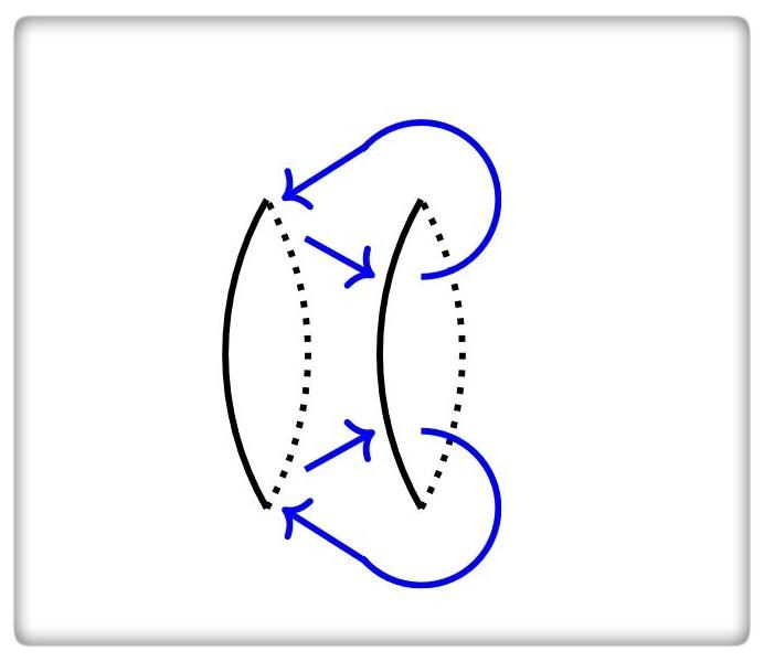 An example of a braiding process where one loop-like defect is braided around another loop-like defect.