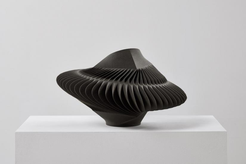 An organic black sculpture 