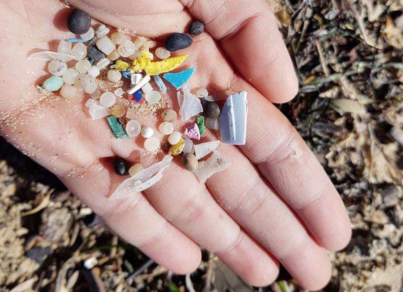 Person displaying marine microplastics in their hand