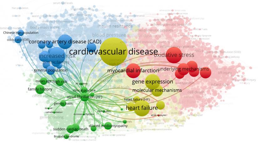 Network of disease represented by coloured spheres with cardiovascular disease as the largest sphere