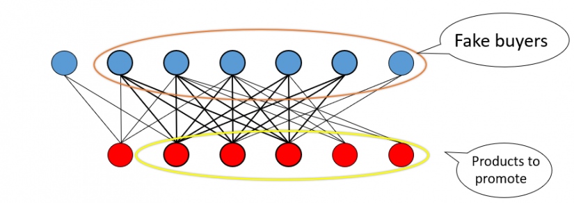 A simplified model of a graph/network represented by blue circles (fake buyers) and red circles (products to promote) joined by intersecting line