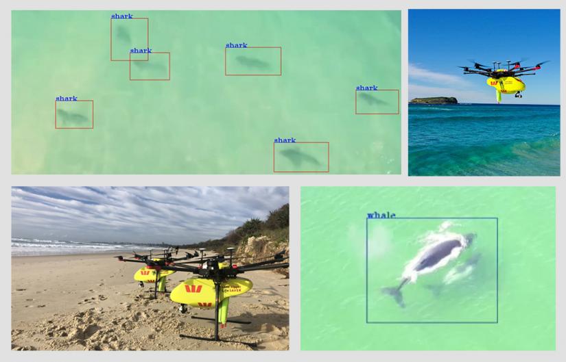 Upper left | Lower right: Overhead view of ocean with sharks and whales outlined with a square and labelled. iDL develop autonomous drones equipped with an AI application, SharkSpotter. Dones can distinguish and identify sharks and other visible animals in the water, using real-time image processing techniques and state-of-the-art sensors and software. Upper right | Lower left: The Little Ripper drones fly to troubled swimmers caught in dangerous surf conditions and drop self-inflatable devices to assist.