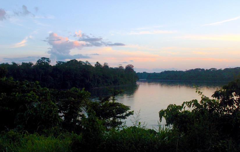 Sunset in the Amazon, Suwa