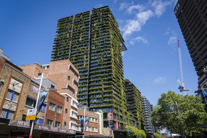 Building with greenery on outside next to brick buildings